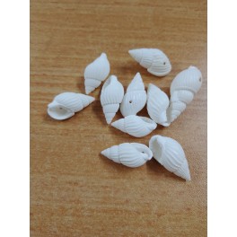 Perla od skoljke konus14-16 mm